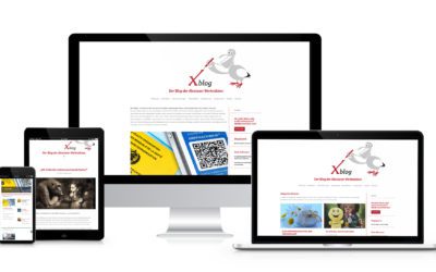 Xblog – ein virtueller Ort des Austausches von und für Menschen mit psychischer Erkrankung