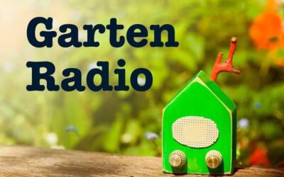 Postelein, Mizuna, Stielmus – Alexianer-Gärtnermeisterin im Gartenradio