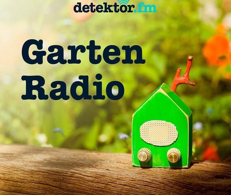 Postelein, Mizuna, Stielmus – Alexianer-Gärtnermeisterin im Gartenradio