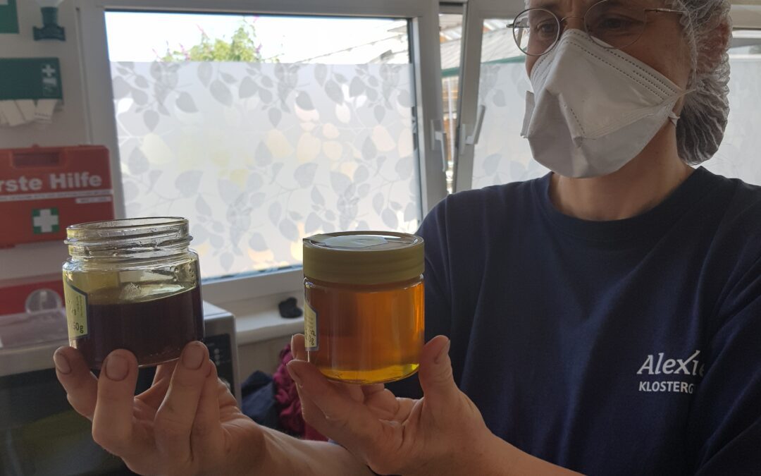 Imkerei_Bienen_Honig