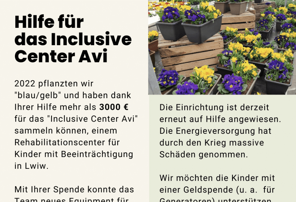 Hilfe für das Inclusive Center AVI in der Ukraine