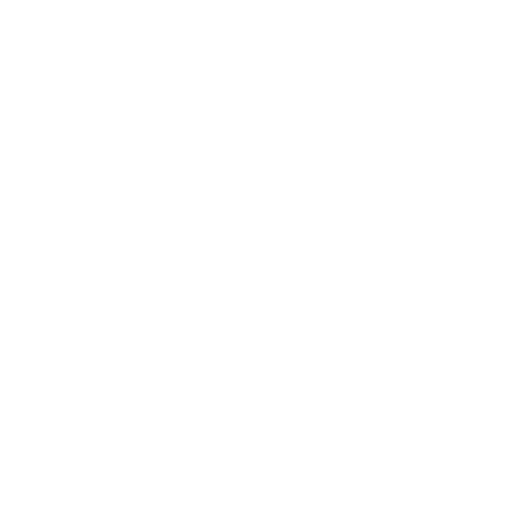 Grafik, welche die Grundsteinlegung der Begarden darstellt